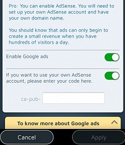 Če je promet zadosten, lahko svojo spletno stran monetizirate z Google Adsense.